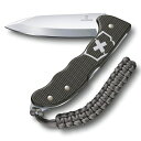 rNgmbNX VICTORINOX iCt neBO Pro ALOX ~ebhGfBV 2022 T_[O[ 0.9415.L22