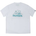 ノーザンカントリー Northern Country メンズ レディース ハイブリッドトレッキングTシャツ 水陸両用 UVカット ホワイト TR-1316 WT(4)