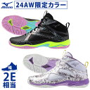 ミズノ MIZUNO メンズ レディース フィットネスシューズ ウエーブダイバース LG 4Ltd WAVE DIVERSE LG 4Ltd K1GF2475