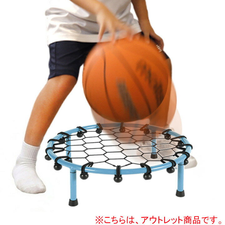 [訳あり]リーディングエッジ LEADING EDGE バスケットボール 練習用品 ドリブルネット 限定カラー ライトブルー LES-DBN-T