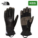 UEm[XEtFCX m[XtFCX LbY Lv[NO[u Kids' Camp Work Glove ubN NNJ12230 KB yTHE NORTH FACEzym[XtFCXziLbYj