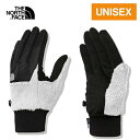 ザ・ノース・フェイス ノースフェイス メンズ レディース 手袋 デナリイーチップグローブ Denali Etip Glove ティングレー NN62122 TI 手ぶくろ 防寒 グローブ 防風 スマホ手袋 スマホ対応 アウトドア ユニセックス