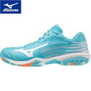 Z[sale 30OFF ~Ym MIZUNO Y fB[X oh~gV[Y EG[uN[2 FIT WAVE CLAW 2 FIT ^[RCY~zCg~IW 71GA2117 11