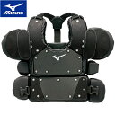 ミズノ MIZUNO ソフトボール 審判用防具 ミズノプロ 審判用インサイド ブラック 1DJPU200 09