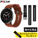 POLAR ポラール イグナイト3 IGNITE 3 Titan レザー＆シリコンセット 900110028