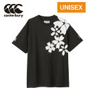 ʌ聚 J^x[ CANTERBURY Y fB[X Wp S/S XyNe[^[TVc JAPAN S/S SPECTATOR ubN RA33777 19