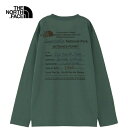 ザ ノース フェイス ノースフェイス キッズ Tシャツ ロングスリーブファイヤーフライティー L/S Firefly Tee アトランティックディープグリーン NTJ32348 AE 長袖 ロンT ロングTシャツ カットソー トップス子供服 子ども服 キッズ ジュニア 子供 子ども こども 通学