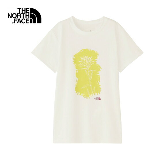 ザ・ノース・フェイス ノースフェイス レディース 半袖Tシャツ ショートスリーブ ペインテッドフラワーティー S/S Painted Flower Tee ホワイト NTW82395 W