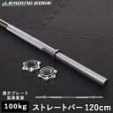 リーディングエッジ LEADING EDGE バーベルシャフト 120cm BARBRLL SHAFT 120cm シルバー LE-BS120 SV