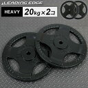 [fBOGbW LEADING EDGE wr[v[g 20kg 28mma ubN LE-HP20 BK v2Zbg