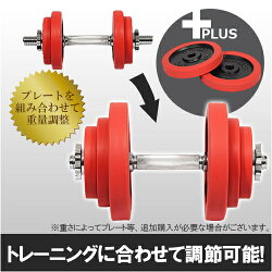 リーディングエッジラバーダンベル10kg単品レッドLE-DB10