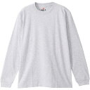 wCY Hanes Y 2P BEEFY-T OX[uTVc L/S T-SHIRT 2P wU[O[ H5186-2 060