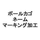 ミカサ MIKASA バレーボール ボールカゴネーム代 PBC