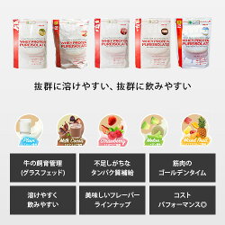 ファインラボホエイプロテインピュアアイソレート1kgミルクココア