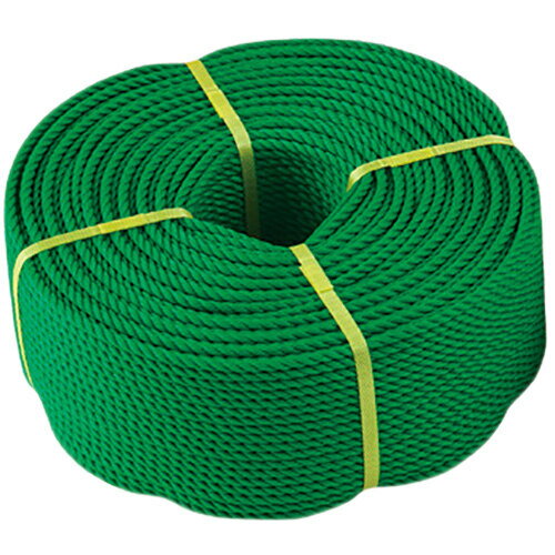 [北海道・沖縄・離島配送不可]三和体育 SANWA TAIKU テープ グラウンドロープ 6mm×200m ロープのみ 緑 S-2880