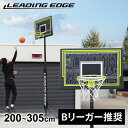 ★1年保証★ リーディングエッジ LEADING EDGE 家庭用 屋外 バスケットゴール ST グリーン LE-BS305ST