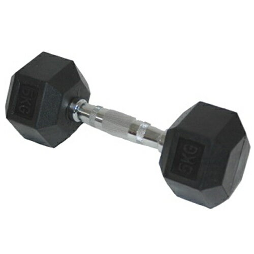 ӡƥ Be Active ٥ ݥѥ졼5kg BA-0019