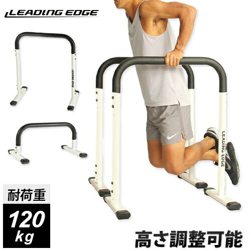 リーディングエッジ LEADINGEDGE 2WAY ディップスタンド 耐荷重120kg ホワイト LE-DS800 WH