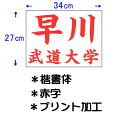 九櫻 KUSAKURA レディース 公式試合用 柔道ゼッケン プリント加工 34×27cm 赤 JT63427KA R