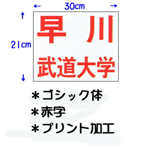 九櫻 KUSAKURA キッズ 公式試合用 柔道ゼッケン プリント加工 小学生用 30×21cm 赤 JT63021GO R