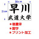 九櫻 クサクラ 公式試合用柔道ゼッケン プリント加工 小学生用 30×21cm 楷書体 黒字 JT63021KAB