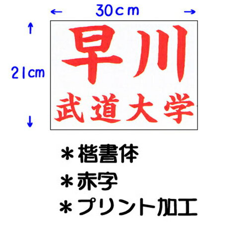 mizuno ミズノ 柔道衣(優勝/上衣)二重織 [ユニセックス] 22JM6A8201　警察学校 高校生 中学生 小学生 練習着 練習用