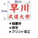 九櫻 KUSAKURA キッズ 公式試合用 柔道ゼッケン プリント加工 小学生用 30×21cm 赤 JT63021KA R