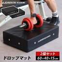 LEADING EDGE リーディングエッジ ドロップマット ダンベル マット 60×40cm 厚さ15cm ブラック LE-M60×2 計2枚セット