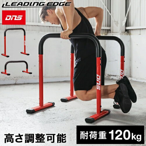 LEADING EDGE ꡼ǥ󥰥å DNS ꥫ顼 ץå奢åץС 2WAY ǥåץ ѥåå(DNS) DNS-DS800 RED