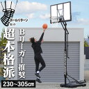 LEADING EDGE リーディングエッジ バスケットゴールDX LE-BS305DX & バスケットボールリターン AT-BR01 計2点セット