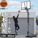 LEADING EDGE リーディングエッジ バスケットゴールDX LE-BS305DX & モルテン ジウジアーロラバーバスケットボール 5号球 BGR5MY...