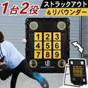 LEADING EDGE リーディングエッジ ターゲットネット リバウンダー 野球 練習 捕球 投球 イレギュラー ピッチング ネット トレーニング 少年 子供...