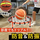 ドリブルネット LES-DBN & モルテン ジウジアーロラバーバスケットボール 7号球 BGR7MY セット ドリブル 練習 バスケ 室内 室内練習 バスケットボール トレーニング 防音 静音 サイレントドリブル ドリブルマット トランポリン(4)
