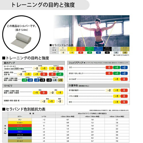 D＆M ディーアンドエム トレーニングチューブ セラバンド 強度レベル：＋4 シルバー TB-6 2