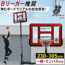 LEADING EDGE リーディングエッジ バスケットゴール 屋外 家庭用 クリア LE-BS305 R & ボールリターン AT-BR01 計2点セット