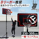 LEADING EDGE リーディングエッジ バスケットゴール 屋外 家庭用 ブラック LE-BS305 BK & ボールリターン AT-BR01 計2点セット