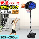 LEADING EDGE リーディングエッジ バスケットゴール 屋外 家庭用 ミニバス対応 LE-BS260 & ボールリターン AT-BR01 計2点セット