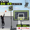 LEADING EDGE リーディングエッジ バスケットゴール 屋外 家庭用 ST2 LE-BS305ST & ボールリターン AT-BR01 計2点セット