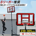 LEADING EDGE リーディングエッジ 家庭用 屋外 バスケットゴール クリア LE-BS305R R