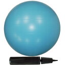 NatuRani ナチュラニ バランスボール バランス感覚を鍛えるボディーボール 65cm ブルー NR-2235