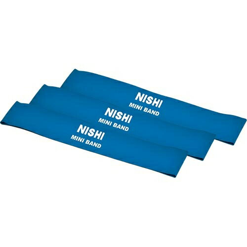 NISHI ニシスポーツ リストウエイト ミニバンド レジスタンス ブルー NT7930G