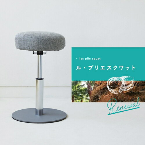 Mizuno ミズノ エクササイズチェア ル・プリエスクワット スクワットスリール グレー C3JHI90505通販格安セール情報 楽天 通販