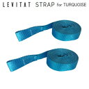 専用 交換用ストラップ LEVITAT Strap ストラップ 2本セット ターコイズ用 OL1904S-DT 送料無料【VF】