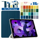 【新型 iPad 第11世代 A16 対応】【デザインケース】全31色 11インチ iPad Air ケース M3 M2 iPad 第10世代 ケース 10.9...