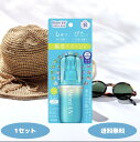 ビオレUV アクアリッチ アクアプロテクトミスト 60ml 1個 2個セット SPF50+ PA++++ 瞬感ミストUV 日焼け止め UV UVカット UVケア ミスト 紫外線