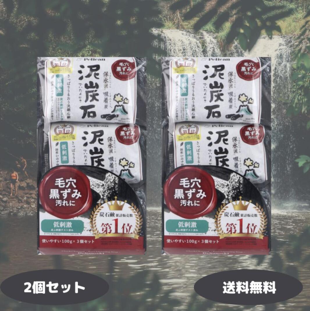 ペリカン石鹸 泥炭石 洗顔石鹸 100g×3個入×6【6個セット】送料