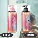 いち髪 プレミアム THE PREMIUM エクストラダメージケア シャンプー トリートメント シルキースムース ポンプ 本体 各1個セット Ichikami クラシエ Kracie