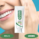 サンスター GUM ガム 薬用 デンタルペースト スタンディングタイプ 120g 3個 6個セット 医薬部外品 歯磨き粉 歯周病予防 口臭予防 高濃度フッ素 虫...