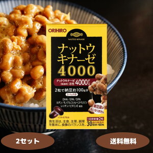 オリヒロ ナットウキナーゼ4000 60粒 2個 3個 4個 5個 6個セット ORIHIRO 納豆キナーゼ 4000FU ナットウキナーゼ4000 納豆 納豆菌 健康食品 DHA EPA ポリフェノール 血糖値 生活習慣病予防 健康維持 高血圧 血栓症