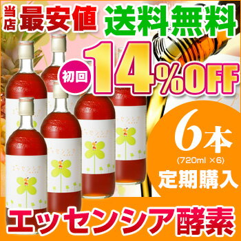 定期購入6本セット